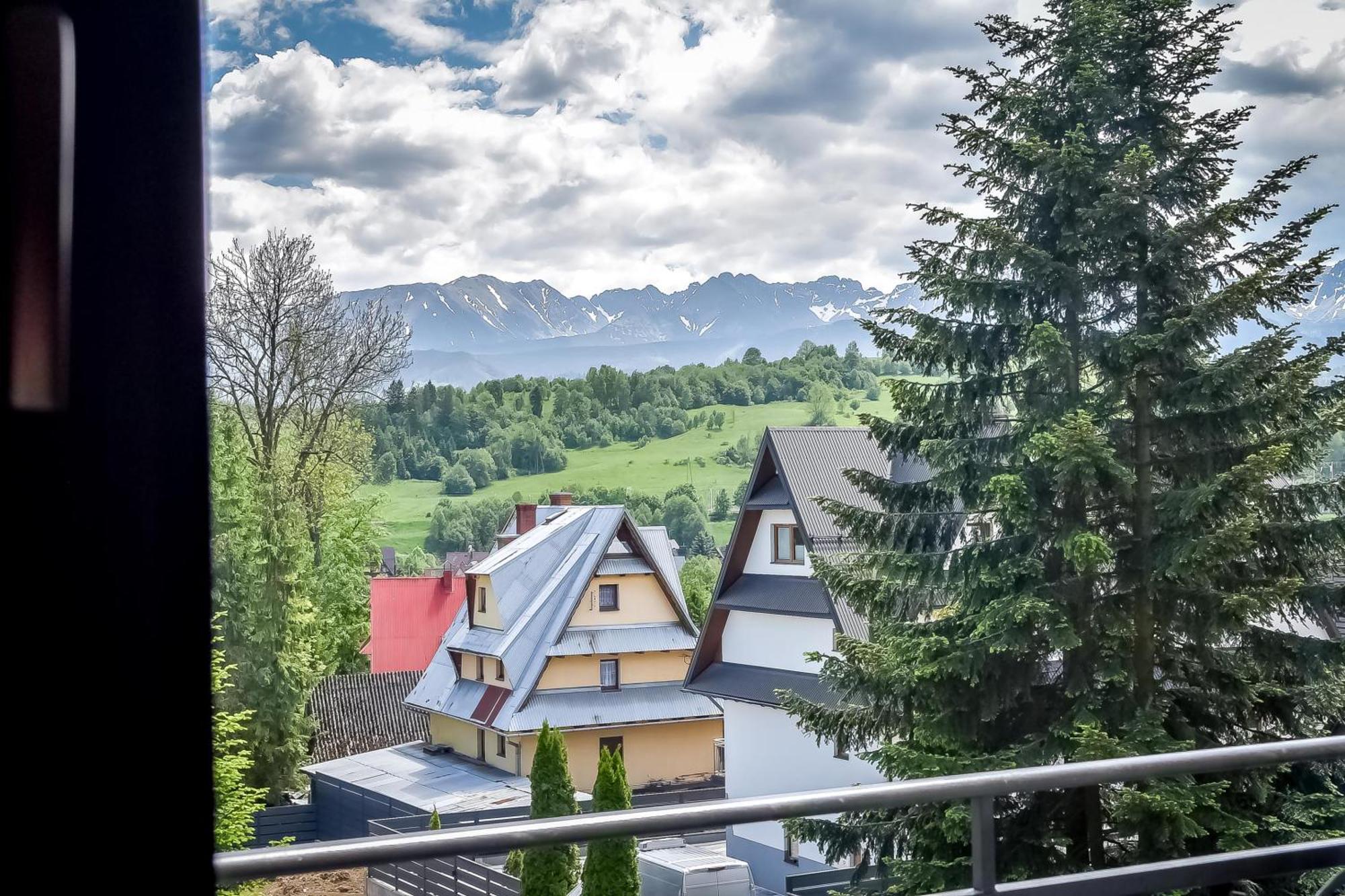 Willa U Zwijacza Zakopane Exterior photo