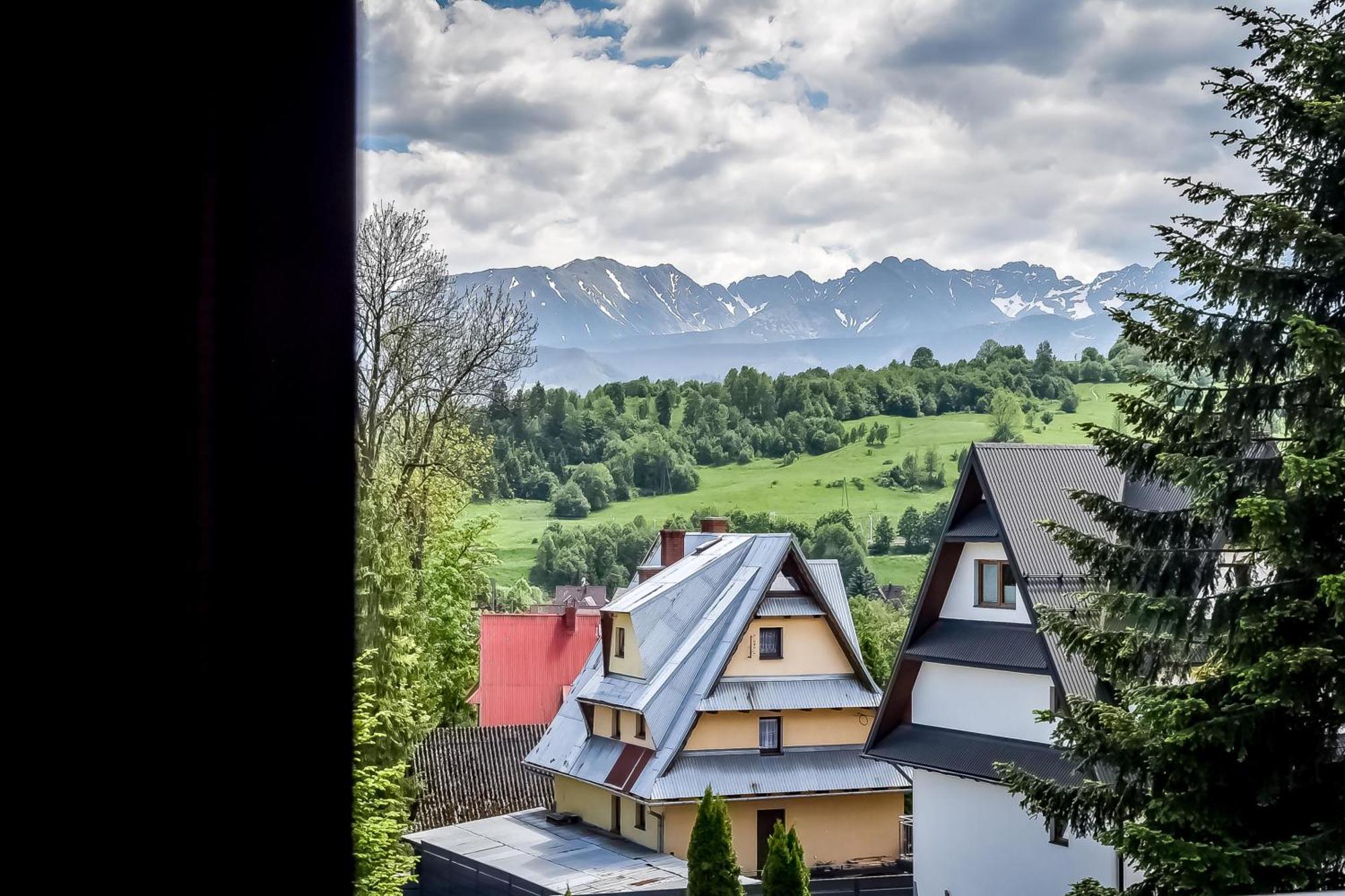 Willa U Zwijacza Zakopane Exterior photo